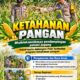 Mendukung Program Ketahanan Pangan, Bhabinkamtibmas Monitoring Pertumbuhan Jagung