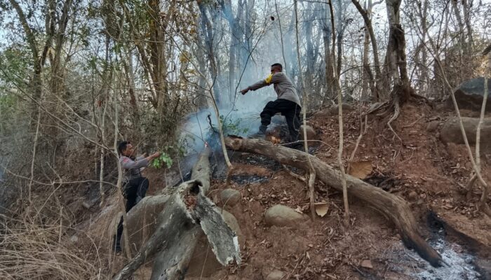 Polsek Wawo Lakukan Penanganan dan Pencegahan Karhutla, Warga Diimbau Tidak Membakar Hutan dan Lahan
