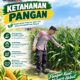 Dukung Ketahanan Pangan, Bhabinkamtibmas Monitoring Pertumbuhan Tanaman Jagung
