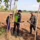 Polri Dukung Astacita, Polsek jenu Polres Tuban Turun Cek Tanaman Jagung Warga di Desa suwalan