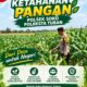 TURUN KE LAPANGAN, ANGGOTA POLSEK KEREK BANTU PETANI PANEN JAGUNG DI DESA BINAAN