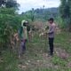 Polsek Grabagan Polresta Tuban Turun Langsung Cek Tanaman Jagung Warga