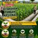 Polsek Jatirogo Turun ke Lahan produktif Desa Kebonharjo Wujudkan Dukungan Astacita Swasembada Pangan