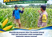Polsek Soko Polresta Tuban Turun Langsung Cek Tanaman Jagung Warga