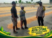 “POLSEK KEREK POLRESTA TUBAN SAMBANG KE GUDANG PENGERINGAN DAN PENYIMPANAN JAGUNG”