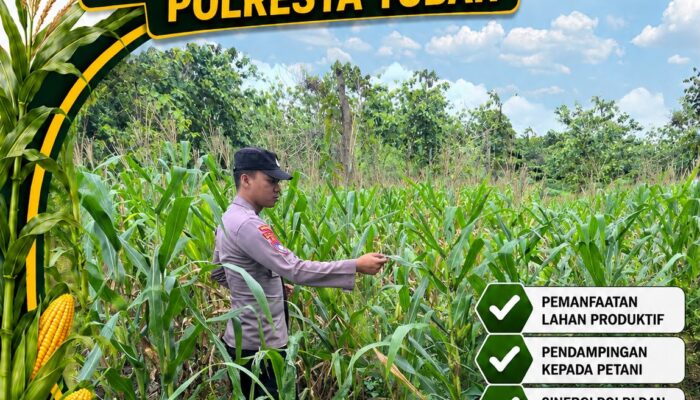 Polsek Bangilan Dukung Ketahanan Pangan Nasional