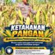 Mendukung Program Ketahanan Pangan, Bhabinkamtibmas Monitoring Pertumbuhan Jagung