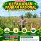 Polsek Plumpang Polresta Tuban Turun Langsung Cek Tanaman Jagung Warga