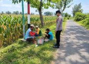 Dukung Ketahanan Pangan, Bhabinkamtibmas Polsek Tambakboyo Monitoring Lahan Jagung Warga