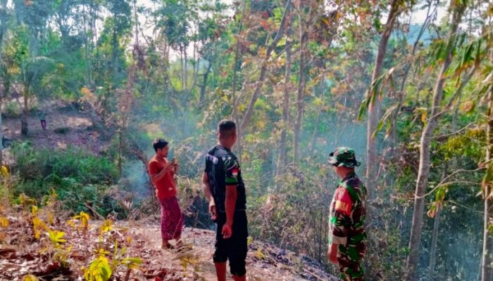Kebakaran Hutan di Mareje Hanguskan 40 Hektare Lahan