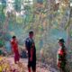 Kebakaran Hutan di Mareje Hanguskan 40 Hektare Lahan