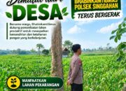 Anggota Polsek Singgahan Polresta Tuban Turun Cek Tanaman jagung Warga di Desa Mulyorejo