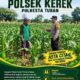 ANGGOTA POLSEK KEREK POLRESTA TUBAN PANTAU PERTUMBUHAN TANAM JAGUNG