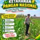 Kawal Swasembada Pangan, Polsek Jatirogo Pantau Langsung Tanaman Jagung di Paseyan