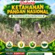Polsek Bangilan Polresta Tuban laksanakan Monitoring Ketahanan pangan