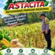 Mendukung Asta Cita Presiden bhabinkamtibmas Polsek Montong Polresta Tuban Pantau Kodisi Tanaman Jagung Milik Warga Desa pakel