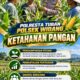 Mendukung Program Ketahanan Pangan, Bhabinkamtibmas Monitoring Pertumbuhan Jagung