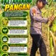Mendukung Program Ketahanan Pangan, Bhabinkamtibmas Monitoring Pertumbuhan Jagung